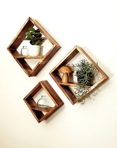 three square wooden shelves with plants on them