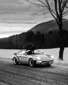 a black and white photo of a car with a tree on top