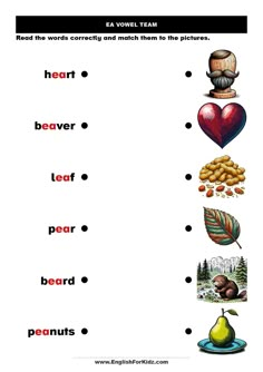 an english worksheet with words and pictures to describe the parts of a heart