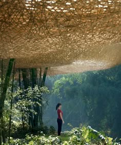 a woman standing in the middle of a lush green forest with lots of trees and plants