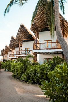 an image of a resort building with palm trees in the foreground and people walking by