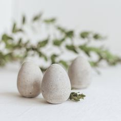 three white eggs sitting next to each other on top of a table with greenery