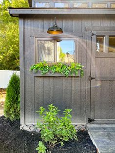 a small gray shed with plants growing in the window sill and on the side