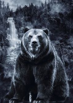 a black and white photo of a bear in front of a waterfall