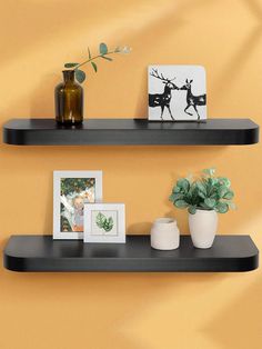 two black shelves with pictures and plants on them