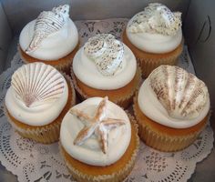 six cupcakes with white frosting and seashells on top are in a box