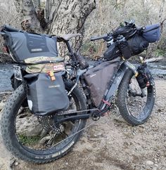 a bike parked next to a tree in the woods