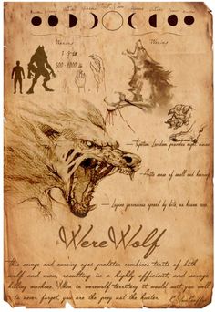 an old paper with writing and drawings on it, including a drawing of a wolf's head