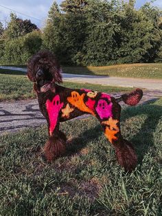 a dog that is standing in the grass with some decorations on it's coat