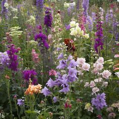 many different colored flowers in a field