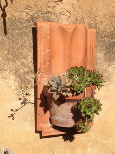 a planter with succulents and other plants in it sitting on a wall