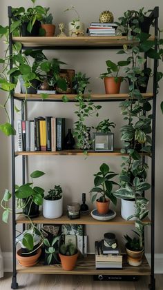 the shelves are filled with plants and books