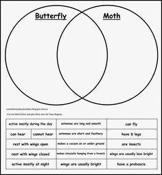 two intersecting vennuous circles with the words butterfly and moth in each one,