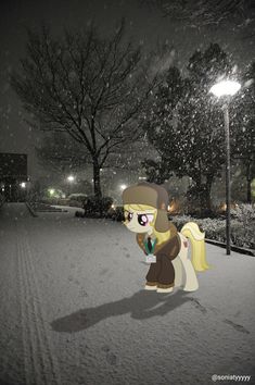 a little pony standing in the snow at night with its head turned to the side