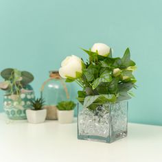 white roses in a clear glass vase on a table with succulents and air plants