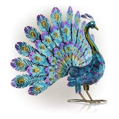 a blue and purple peacock standing on its hind legs