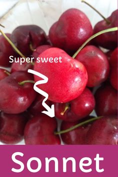 some cherries are in a glass bowl with the word sonnet below it,