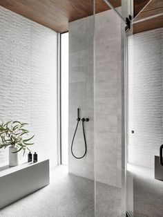 a bathroom with a shower, sink and plant in it's centerpieces