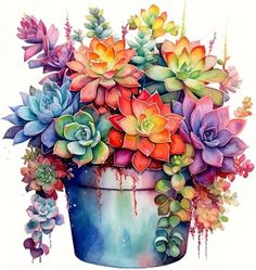 a painting of succulents in a pot with watercolor paint on it