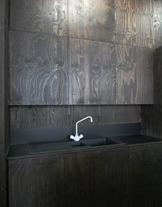 a kitchen sink with a faucet in front of it against a wood paneled wall