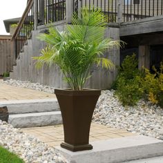 a potted plant sitting on top of a cement slab in front of a house