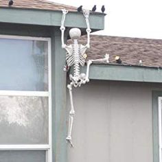 a skeleton hanging from the side of a house with birds perched on top of it