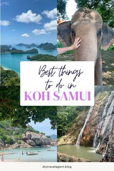 the best things to do in koh samu