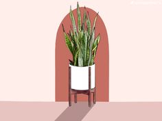 a potted plant on a stand in front of a pink wall with an arched doorway