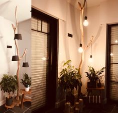 three different views of plants and lights in a room