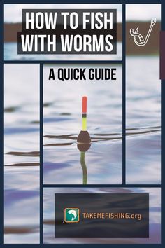 how to fish with worms - a quick guide