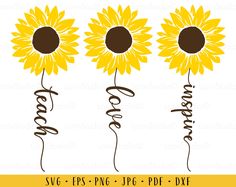 three sunflowers with the word love spelled in cursive writing on them