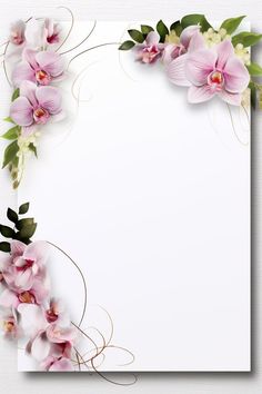 an image of pink flowers on a white background with place for your text or photo