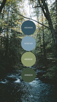 the five elements of nature are shown in different colors