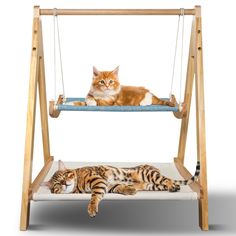 an orange cat laying on top of a swing bed next to a tiger striped cat