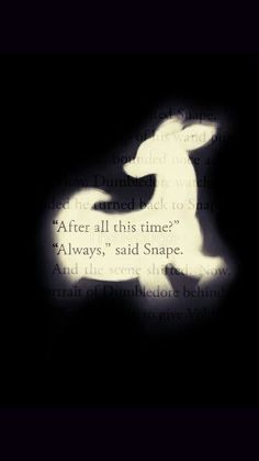 the silhouette of a dog is shown against a dark background with words written below it