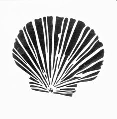 a black and white photo of a fan shaped object on a white background with shadows