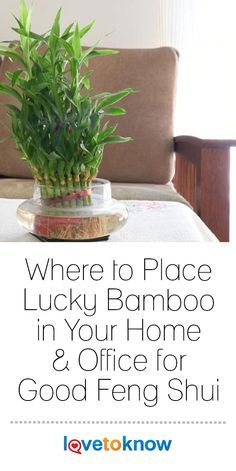 a living room with a couch, chair and table covered in bamboo plants on top of it