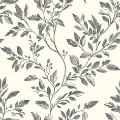 Leander Wallpaper - Painted Paper Sophisticated Wallpaper, Botanical Sketches, Peel Stick Wallpaper, Pattern Repeat, Wainscoting, Painted Paper, Painting Patterns, Stick Wallpaper, Peel And Stick Wallpaper