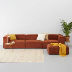 a living room with a couch, rug and potted plant on the side table