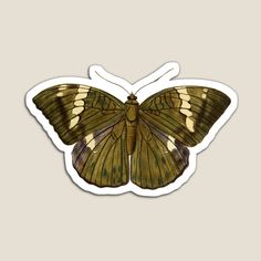 a green and yellow butterfly on a white background sticker with the image of an insect