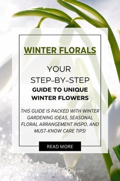 snowdrops with text that reads winter florals your step - by - step guide to unique winter flowers