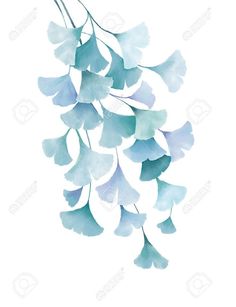 watercolor painting of blue flowers on white background with clipping for text or image