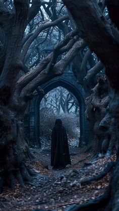 a man in a black cloak walking through a dark forest with lots of trees and branches