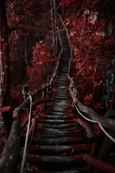 the stairs leading up to the red forest are very dark and creepy, with only one person standing at the bottom