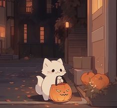 a white cat sitting on the ground holding a pumpkin