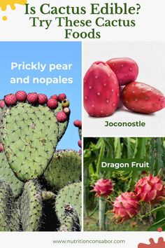 pictures of various types of edible cactus. including prickly pear fruit, nopales, joconostle, and dragon fruit. Nopales Recipes, Nopales Recipe, Cactus Food, Cafe Recipes, Latin American Recipes, Latin American Food, Vegan Mexican