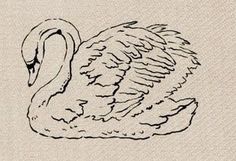 a black and white drawing of a swan