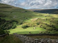 a lush green hillside covered in lots of grass