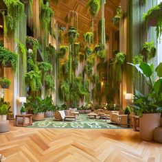 an indoor living area with plants and couches in the center, surrounded by wood flooring