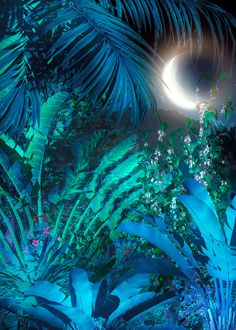 a full moon is seen in the sky above some trees and plants at night time